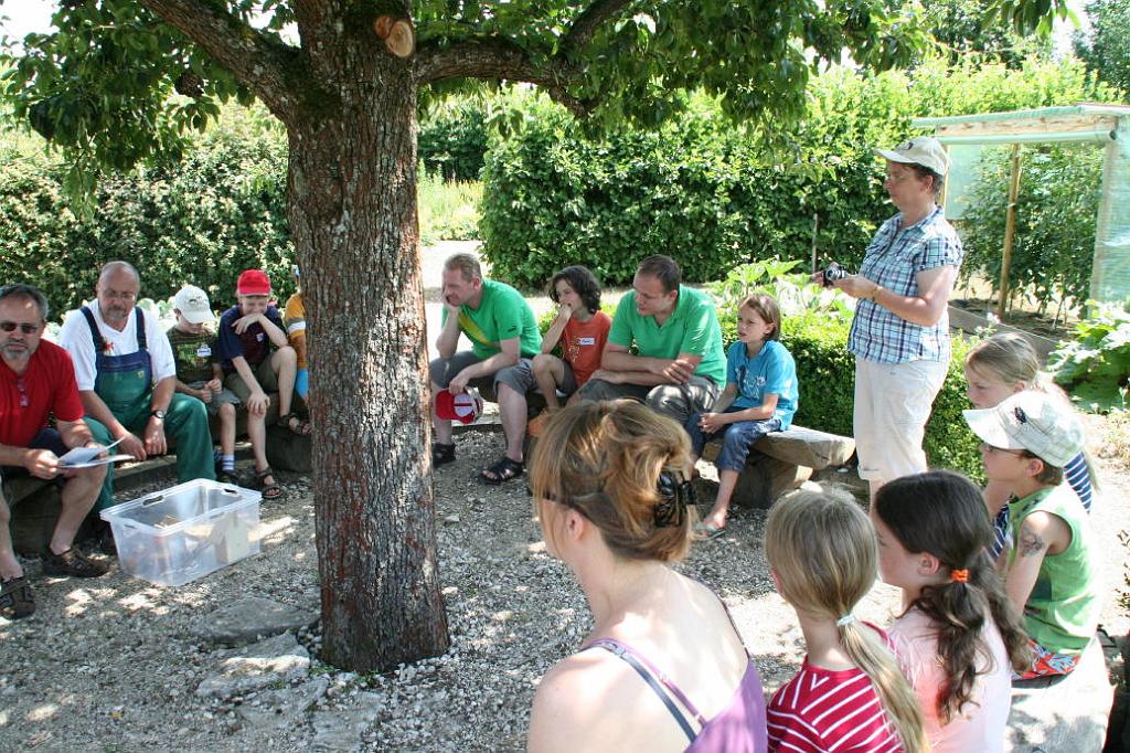 KV 10-07-2010 (4).JPG